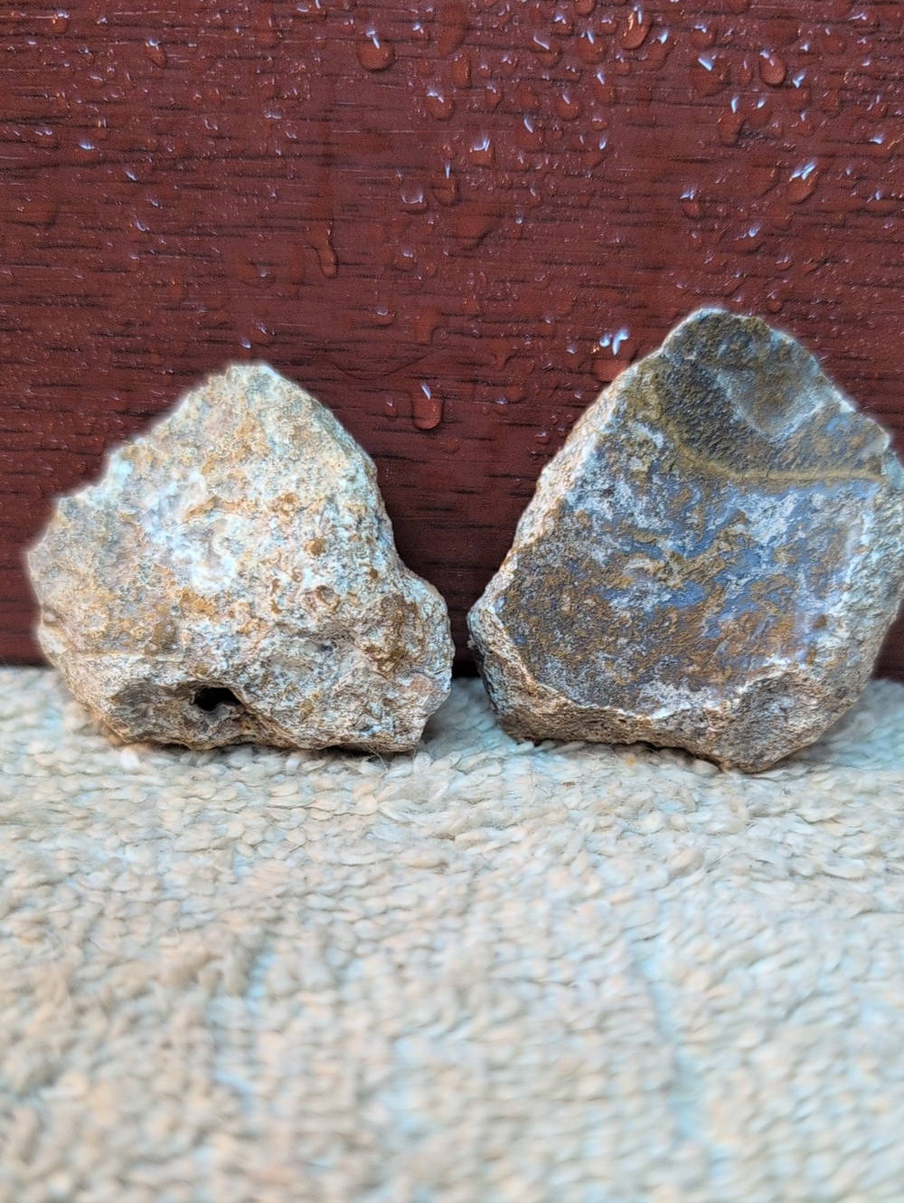 Agate #21 - Picture 7 of 7